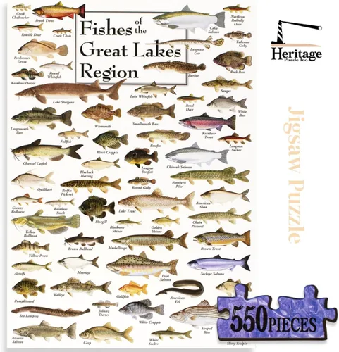 Vista 3 de Heritage Puzzle Peces de la Región de los Grandes Lagos 550 Piezas Peces de los Grandes Lagos