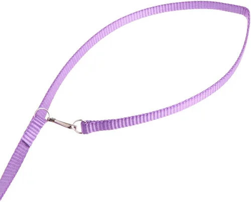 Vista 5 de Adjustable Bird Harness 3.94 Ft Long Leash Kit Outdoor Flying Training Rope for Small Birds Parrots Anti Toys African Grey for Small Parrots for