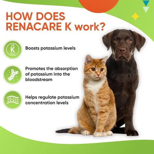 Vista 5 de RenaCare K es para Renal K (gluconato de potasio) Suplemento en polvo de potasio para perros y gatos, (4 onzas) con sabor a hígado de pollo