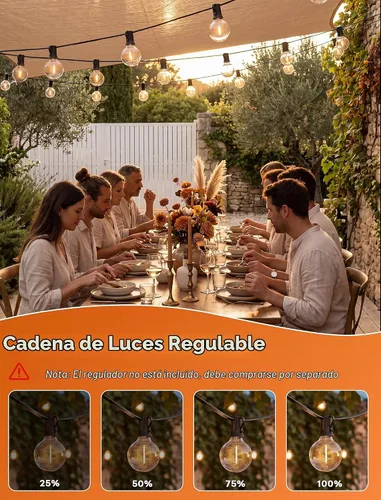 Vista 5 de Abeja - Cadena de luces para exteriores, de 25 pies con bombillas LED G40 tipo globo con 27 bombillas de plástico Edison (2 de repuesto), luces