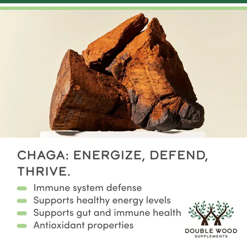Vista 4 de Cápsulas de hongos Chaga, 120 unidades (1,000 mg de hongos Chaga en polvo por porción) con alto contenido de polisacáridos, beta glucanos