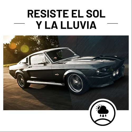 Vista 7 de Restaurador de plásticos de CarGuys, la solución definitiva para devolver la vida a la goma, el vinilo y el plástico, kit de 8 onzas