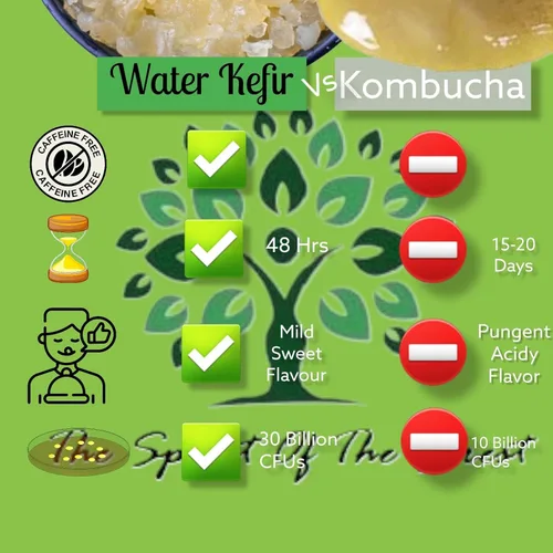 Vista 3 de Polvo de bebida probiótica fermentada de granos de kéfir de agua deshidratada para una salud intestinal más fuerte El iniciador de reliquia ofrece