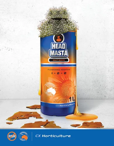 Vista 4 de CX Hydroponics - Cabeza Masta 1 Litro