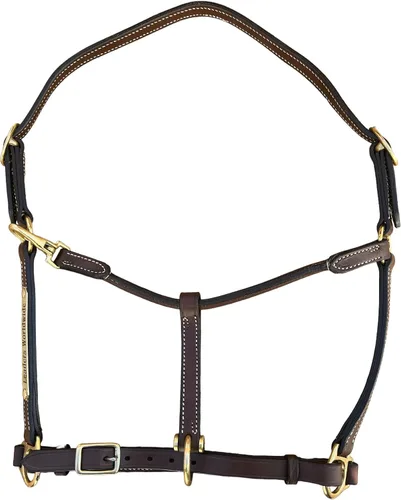 Vista 7 de Leaders - Cabestro de cuero de 3/4 pulgadas para caballos con placa de nombre grabada personalizada, cuero marrón con herrajes de latón macizo