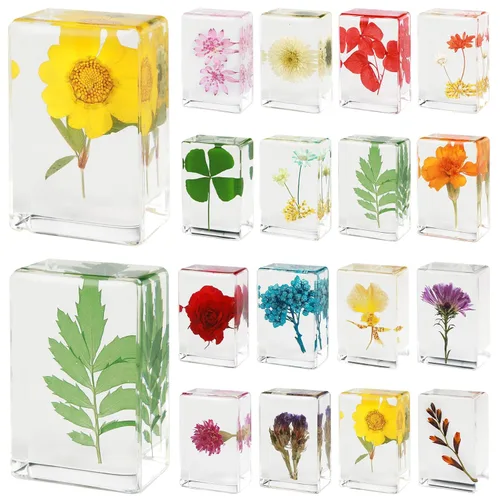 Vista 8 de 16 piezas de insectos mariposa en espécimen de resina, colección de bichos, pisapapeles, 16 estilos de espécimen real de bichos, kit de bichos