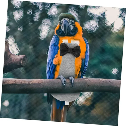 Vista 4 de iplusmile 5 unids Loro Pañal de pájaro traje de vuelo Paloma pañal cómodo pájaro ropa para loros