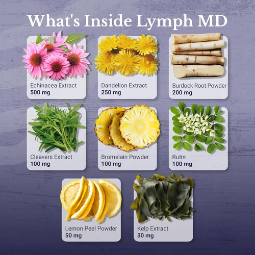 Vista 3 de Lymph MD - Suplemento de drenaje linfático - con bromelina, equinácea, raíz de bardana, diente de león, rutina, algas y más - Soporte del sistema