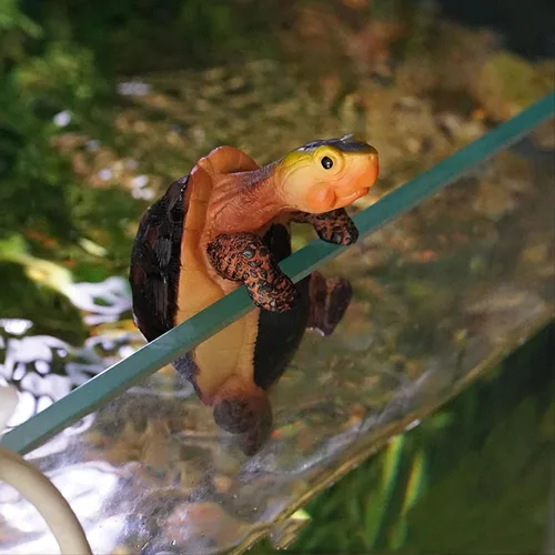 Vista 6 de Banax Colgador de macetas de tortuga, figura de tortuga de resina, lindas tortugas de resina colgantes, regalo de decoración de maceta, se puede