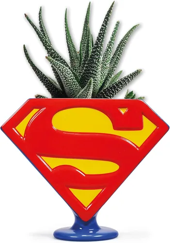 Vista 5 de Half Moon Bay HMB DC Comics - Batman - Plantador - Batman (Logo)