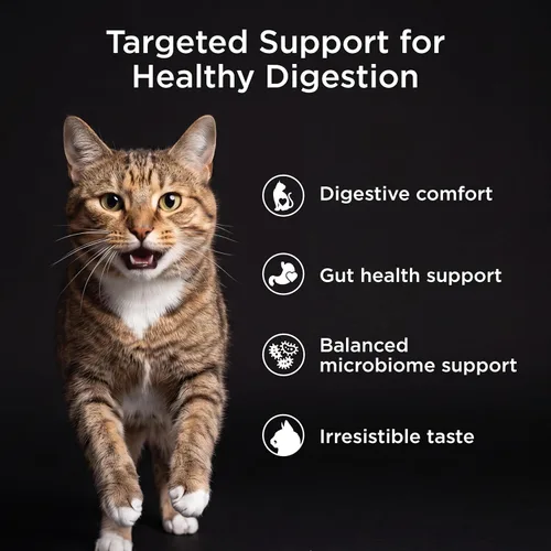 Vista 3 de Go! Solutions Digestión + salud intestinal, comida seca para gatos, receta de pollo con granos antiguos, bolsa de 3 libras Fiber-Rich Kibble for