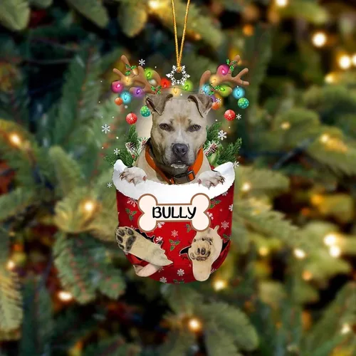 Vista 84 de IZI POD Affenpinscher Adorno de Navidad personalizado para perro, adorno de bolsillo de nieve para perro para árbol de Navidad, adorno acrílico