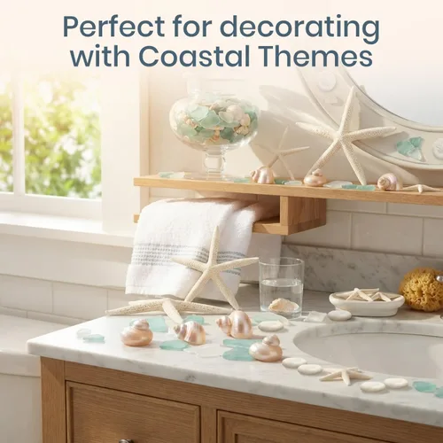Vista 6 de Conchas de mar – Conchas de playa mezcladas reales con estrellas de mar y cristal de mar (paquete de 5) – Conchas para manualidades – Decoración