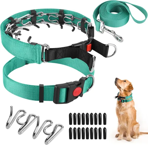 Vista 21 de Collar de entrenamiento de puntas con puntas cómodas y hebilla de cierre rápido – Collar de pellizco para perro con cubierta de nailon