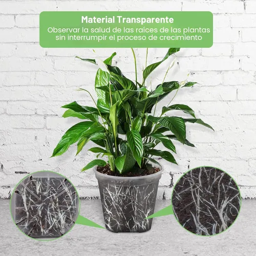 Vista 3 de GREENPARA Macetas transparentes para vivero con platillo para plantas