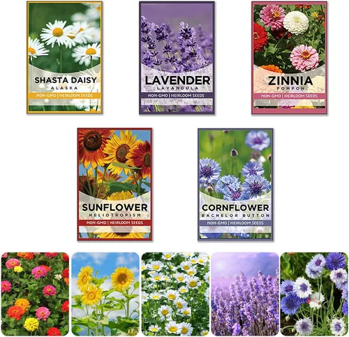 Vista 8 de Meekear Kit de 5 – Creciendo en margarita Shasta, aciano, girasol, zinnia, lavanda para interiores y exteriores, jardín, regalos de bricolaje