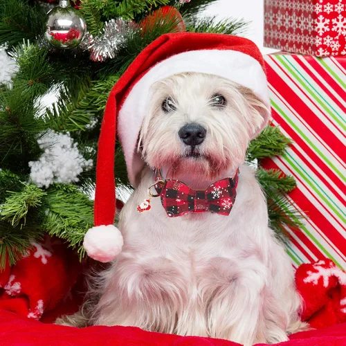 Vista 2 de ADOGGYGO Collar de Navidad para perro con pajarita, collar ajustable con corbatín para perro, collar de Navidad a cuadros rojos y verdes para perros