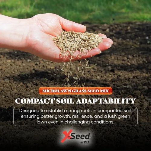 Vista 5 de X-Seed Microlawn - Mezcla de semillas de césped y microtrébol: césped denso autoalimentable, sol y sombra, elimina las malas hierbas, alto tráfico