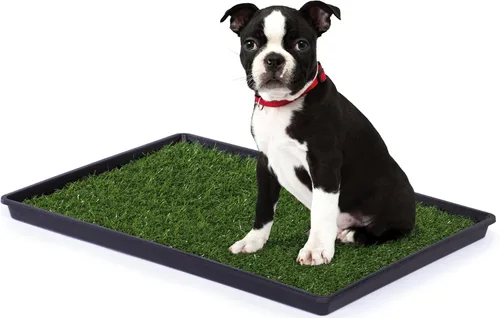 Vista 6 de Alfombra de baño para perro de Prevue Hendryx para perros de razas pequeñas