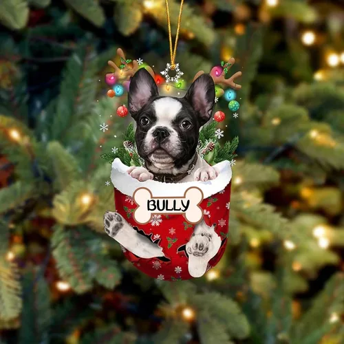 Vista 62 de IZI POD Affenpinscher Adorno de Navidad personalizado para perro, adorno de bolsillo de nieve para perro para árbol de Navidad, adorno acrílico