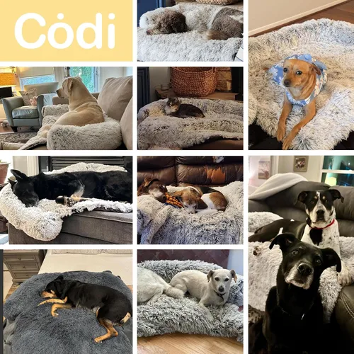 Vista 2 de Codi Cama calmante para perros – Tapete protector de sofá antiansiedad para perros grandes, 41 x 37 x 6 pulgadas, lavable a máquina, esponjosa