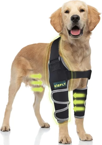Vista 12 de Codera para perros gigantes, soporte para hombros y articulaciones para adultos mayores Diseñado para razas gigantes que necesitan apoyo adicional