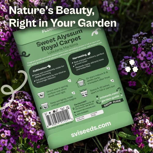 Vista 2 de SVI 3000 semillas Royal Carpet Sweet Alyssum (Lobularia maritima) – Paquetes de semillas de flores de Alyssum Sweet Alyssum a granel, cobertura