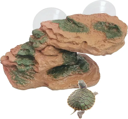 Vista 9 de kathson Plataforma para tomar el sol de tortuga, rampa de escalada de tortugas para bebé, esquisto, reptiles, muelle, terraza, piedra, pequeño
