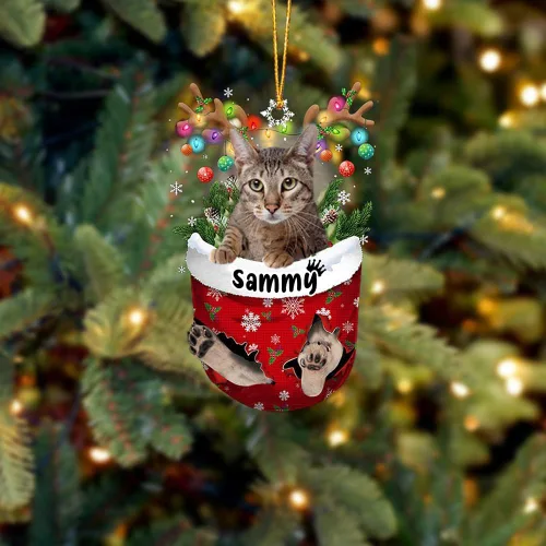 Vista 24 de Adorno personalizado de gato de rizo americano, adorno personalizado con nombre de mascota, colgante acrílico plano impreso en 2D, Papá Noel y gato