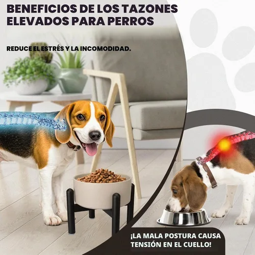 Vista 5 de Juego de cuencos elevados de cerámica para perros con soporte, 2 tazas de Negro