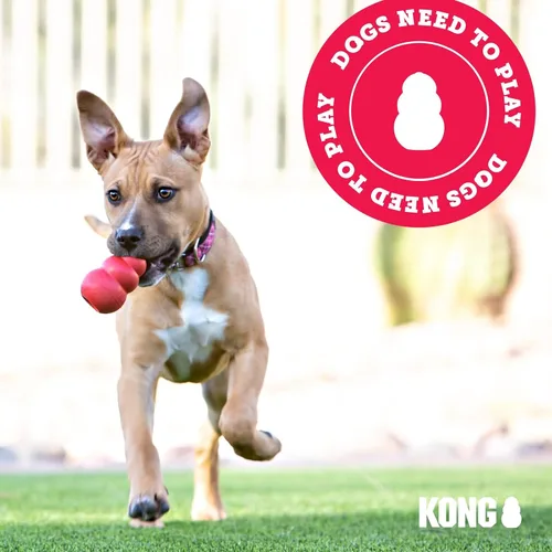 Vista 7 de KONG - Aqua - Juguete flotante para jugar en el agua - para perros medianos Floating KONG Natural Rubber Water Toy with Foam Interior & Rope for