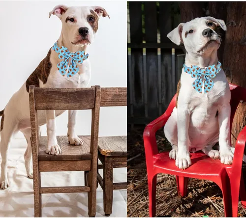 Vista 133 de Unique style paws - Collar para perros con corbatín, collar ajustable para perros y gatos, pequeño, mediano y grande