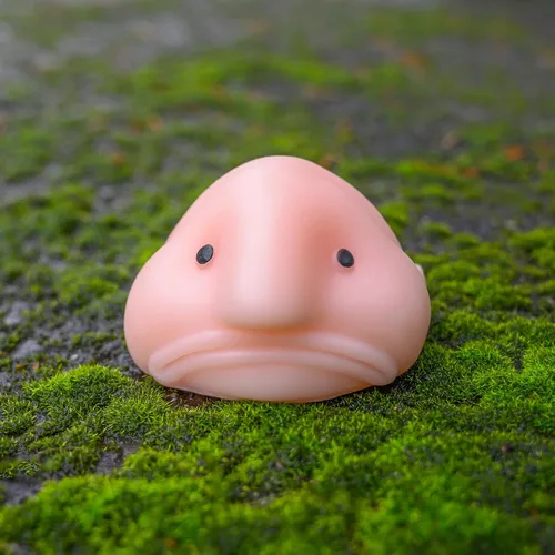 Vista 7 de Accoutrements Sunny The Blobfish - Juguete novedoso - Juguete blando