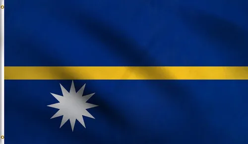 Vista 97 de DMSE - Bandera nacional beninesa beninesa de la República de África Occidental, 2 x 3 pies, 100 % poliéster, 100 % poliéster, resistente a los rayos