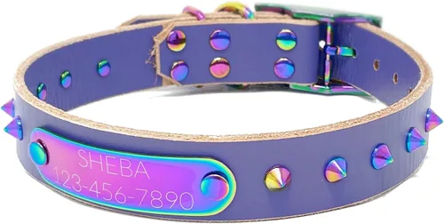 Vista 16 de Collar de perro de cuero con brida hecha a mano, grabado arco iris de acero inoxidable (negro)