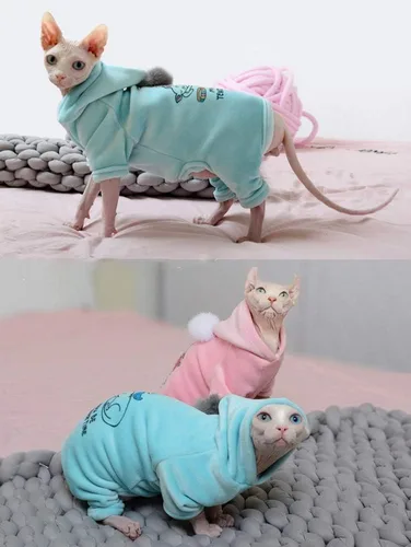 Vista 7 de Ropa para gatos sin pelo, camisa con capucha de algodón, transpirable, otoño e invierno, ropa cálida para gato, suéter chaleco para Sphynx, Cornish