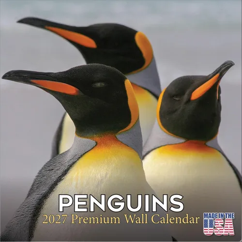 Vista 65 de Calendario de grises africanos 2025 2026 – Planificador mensual de pared de aves africanas – 12 x 18 pulgadas (abierto), calendario de pared