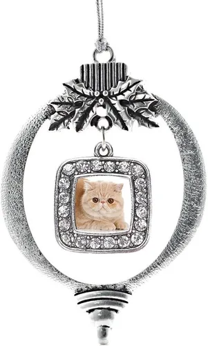 Vista 47 de Inspired Silver - Bon Voyage Cruise Ship Charm Ornamento – Adornos navideños cuadrados de plata con joyas de circonita cúbica