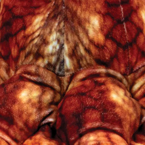 Vista 5 de Real Planet Pulpo marrón pacífico de 22 pulgadas, juguete realista de criatura marina, animal marino de felpa grande para niños, animales marinos