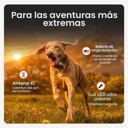 Vista 2 de Weenect Dog XT - Nuevo collar GPS para perros Antena XL Impermeable Collar Julius-K9 integrado ultra duradero Requiere suscripción