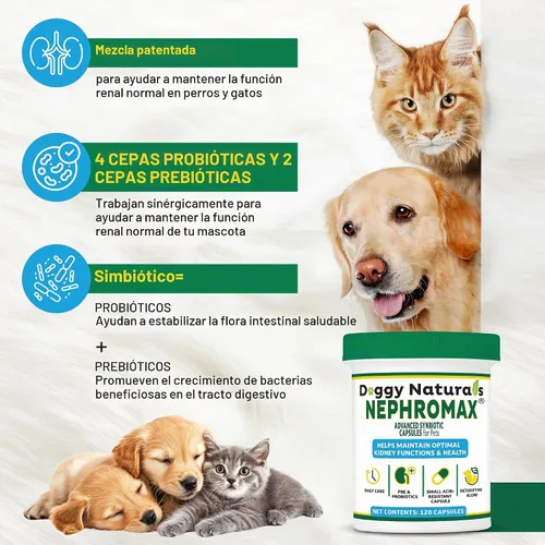 Vista 7 de NEPHROMAX™ Cápsulas Synbiotic para soporte renal para perros y gatos – 36 mil millones de CFU avanzada de próxima generación de mezcla