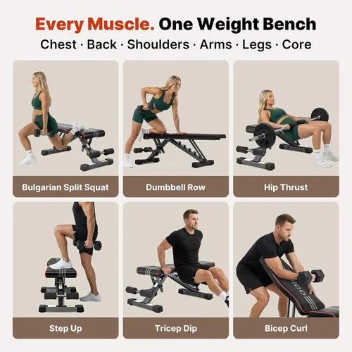Vista 8 de YOLEO Adjustable Weight Bench for Home Gym, ASTM-Certified 827LBS, 98% Pre-Assembled, Foldable Gym Bench with 84 Positions Incline Decline Flat