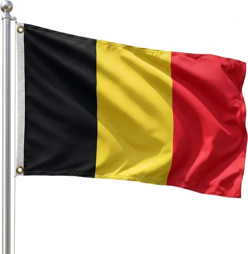 Vista 138 de DMSE - Bandera nacional beninesa beninesa de la República de África Occidental, 2 x 3 pies, 100 % poliéster, 100 % poliéster, resistente a los rayos
