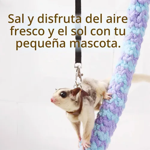 Vista 5 de MANON ROSA Sugar Glider - Juego de arnés y correa, chaleco ajustable de 3 piezas a prueba de escapes para ardillas, ratas, ratones, ratones