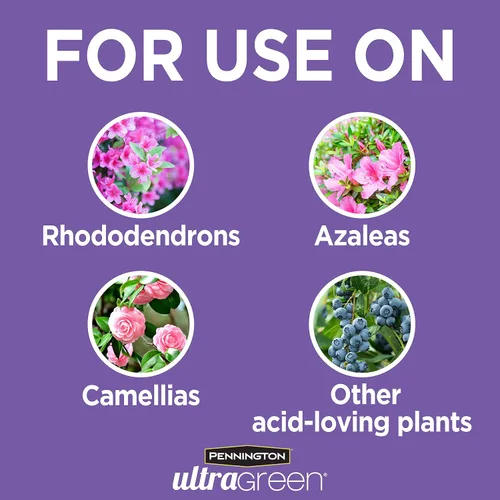 Vista 3 de Pennington 100525940 UltraGreen Azalea, Camelia y Rododendro 10-8-6 Alimento vegetal, 5 lb