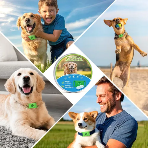 Vista 5 de Placa de identificación natural para prevención de pulgas y garrapatas, paquete de 2 collares impermeables con 4 recambios adicionales, verde