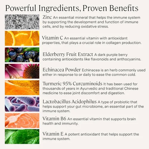 Vista 3 de Stonehenge Health Suplemento diario de inmunidad dinámica 10 en 1 impulsores inmunológicos de zinc, saúco, equinácea, vitamina C y probiótico L.