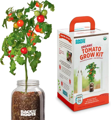 Vista 3 de Back to the Roots Planta de Ají Orgánico sin Transgénicos, Cultiva Ajíes Orgánicos Todo el Año, Kit de Cultivo para Ventana, Mejor Regalo