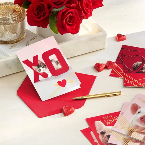 Vista 2 de Hallmark Tarjetas de San Valentín para la escuela, cachorro, gatito, cerdo, erizo (24 aulas de San Valentín con sobres)