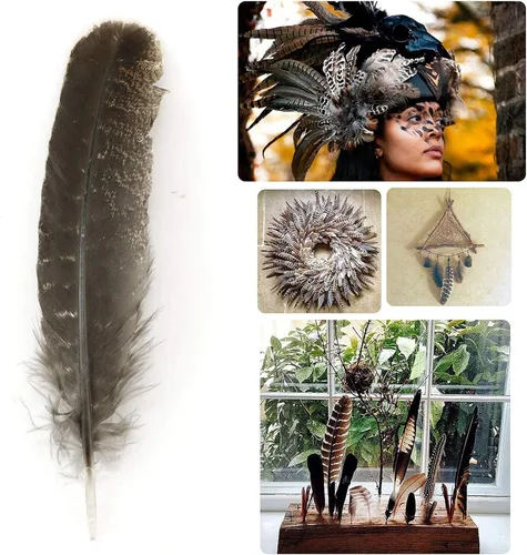 Vista 6 de ZZHXSM 12 plumas de pavo natural de 8 a 10 pulgadas para hacer manualidades, decoración de ropa, familia, boda, decoración de fiesta de cumpleaños